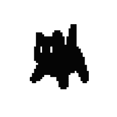 funny cat